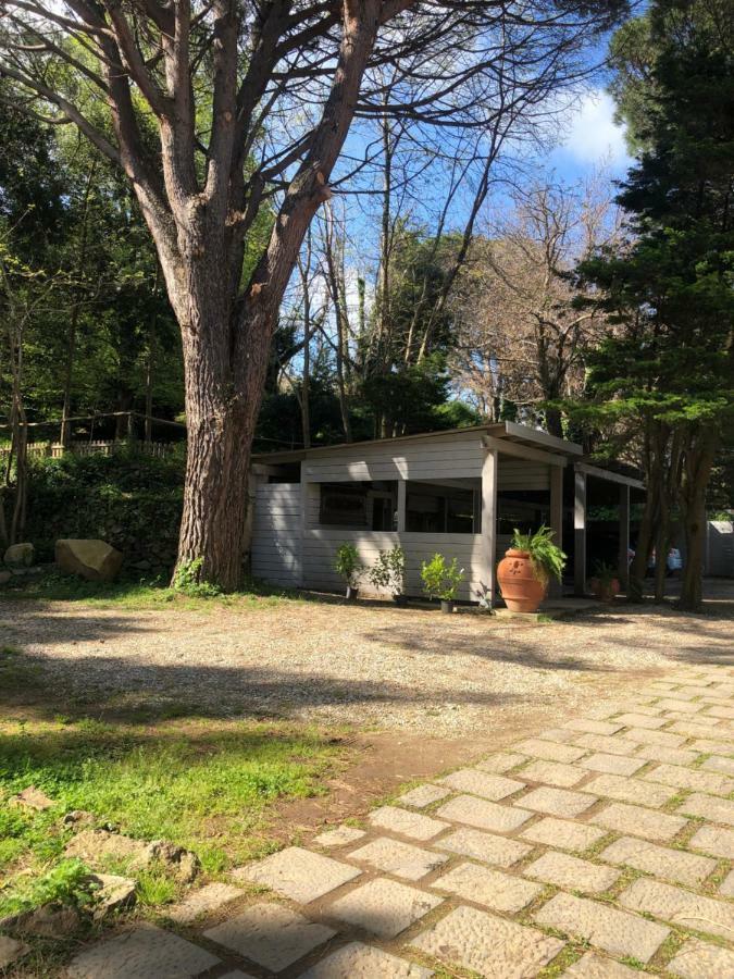 Villa Musolino - Country Resort Messina Luaran gambar