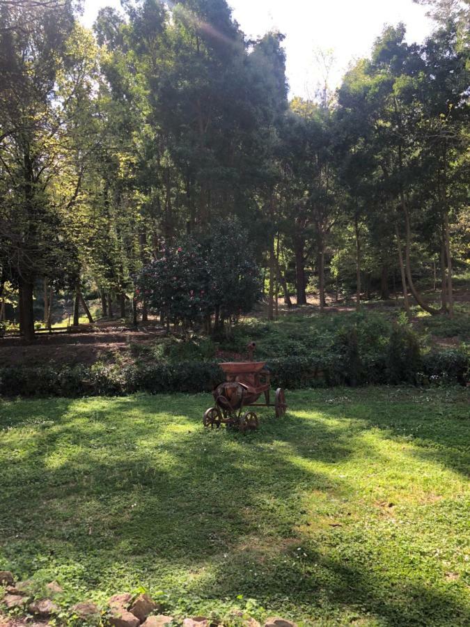 Villa Musolino - Country Resort Messina Luaran gambar